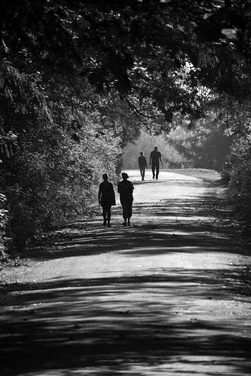 People Walking on the Road 