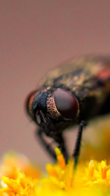 pest control & exterminator service removal near me La Jolla pest control & exterminator service removal La Jolla