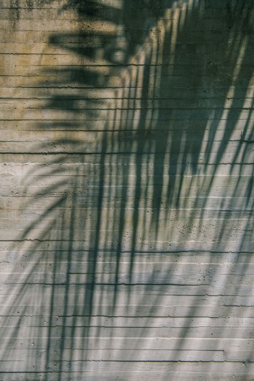 Free Artistic capture of palm leaf shadows cast on a textured concrete wall, showcasing natural patterns. Stock Photo