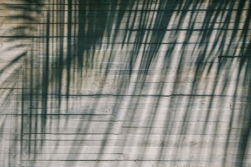 Free Patterns of natural shadows cast on a textured concrete wall creating an abstract design. Stock Photo
