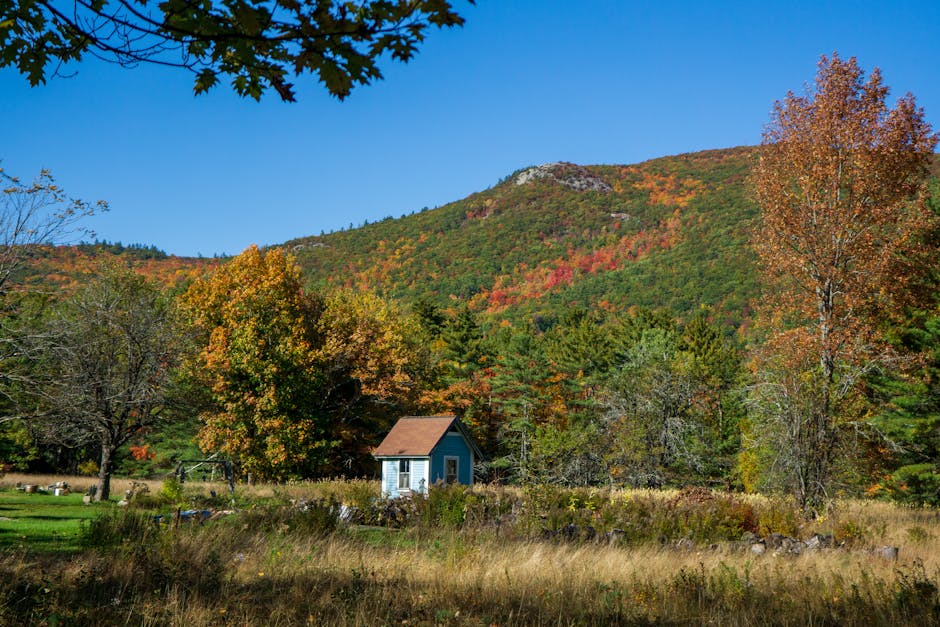 Shed Near a Green Mountain