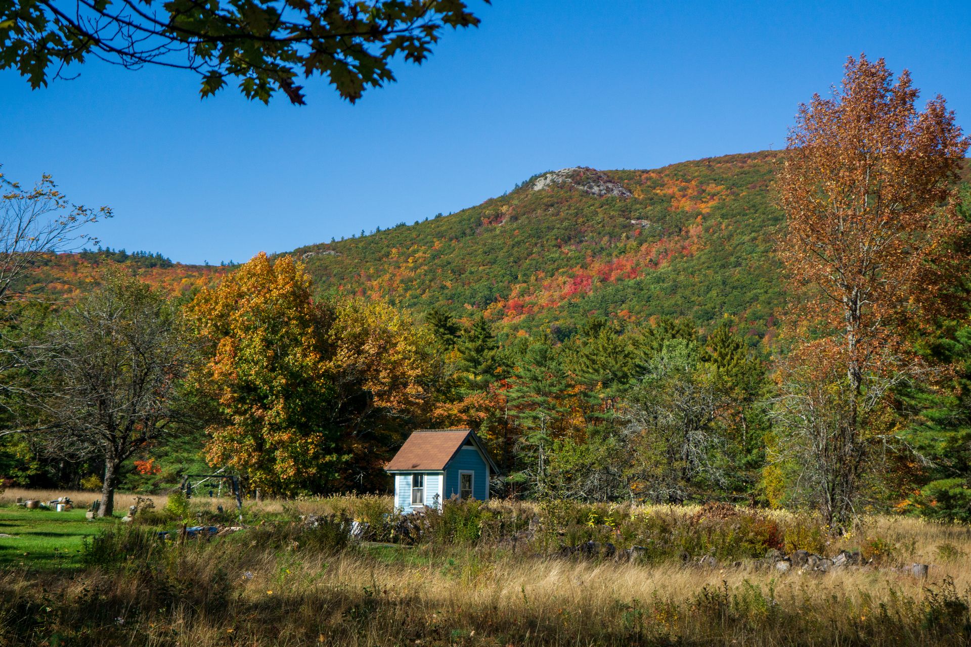 A quaint shed nestled in a vibrant autumnal mountain landscape surrounded by trees and fields.