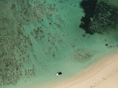 An Aerial Shot of a Beautiful Shore