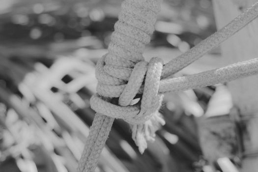 Black and White Photo of Tied Rope