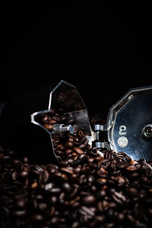 Free Coffee Maker and Coffee Beans Stock Photo