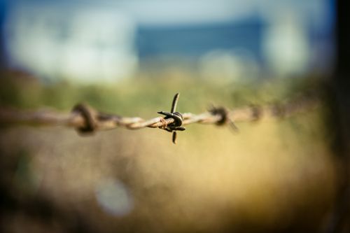 Free Sharp barbed wire close-up with a beautifully blurred background creating a striking depth of field. Stock Photo