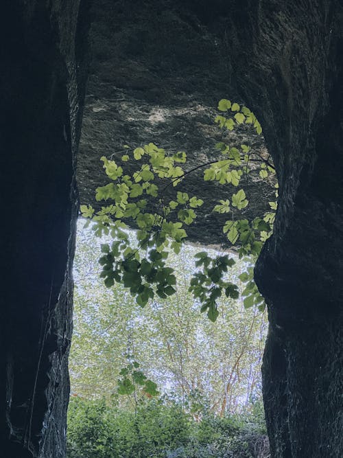 Foto profissional grátis de adega, buraco, entrada