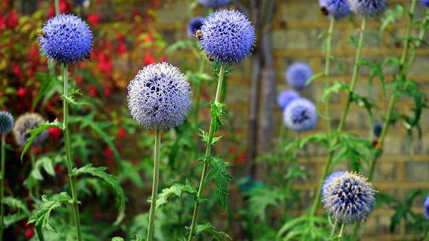 在色彩缤纷的室外花园里，充满活力的紫色地球仪与蜜蜂一同嗡嗡作响