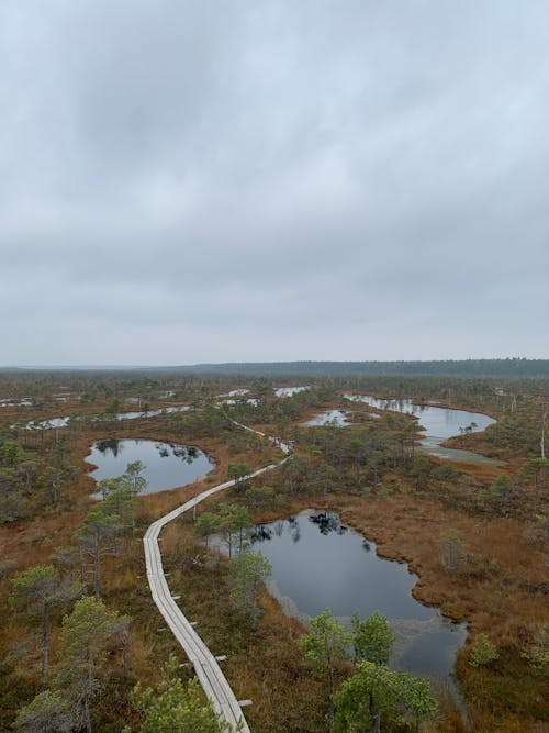 Clouds over Forest and Lakes