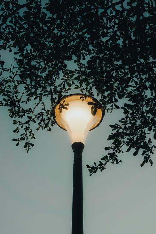 Free A beautifully illuminated street lamp with tree branches against a twilight sky in Dihok, Kurdistan Region, Iraq. Stock Photo
