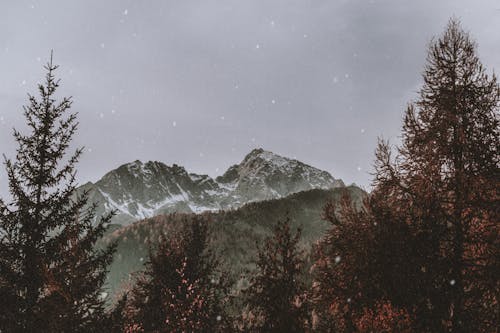 Fotobanka s bezplatnými fotkami na tému chladný, denné svetlo, exteriéry