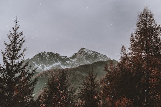 A beautiful winter scene featuring snow-capped mountains and falling snowflakes, perfect for nature lovers.