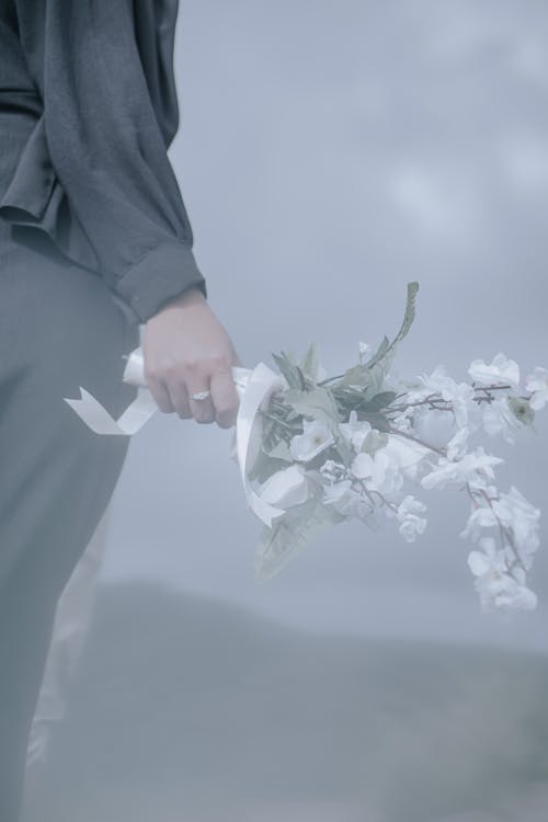 Fotobanka s bezplatnými fotkami na tému biele kvety, človek, držanie