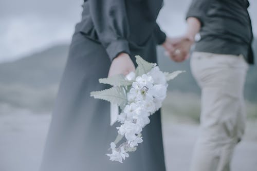 Fotobanka s bezplatnými fotkami na tému biely kvet, držanie, kytica