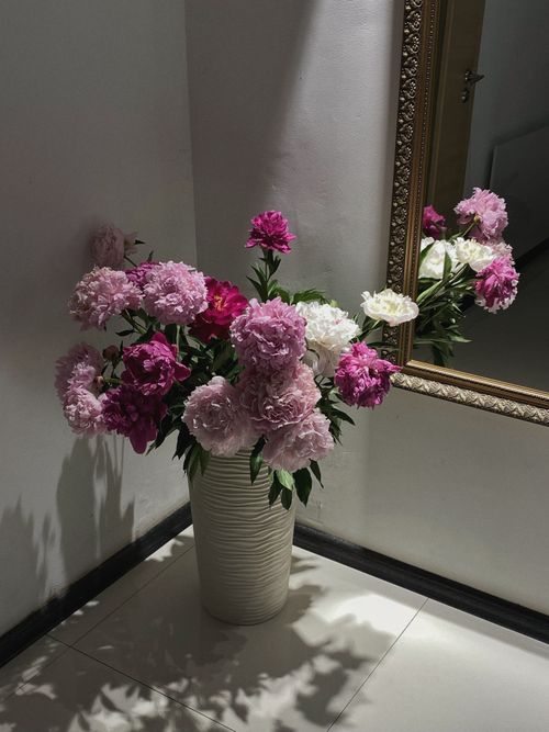 Free stock photo of aesthetics, blooming flowers, bouquet Stock Photo
