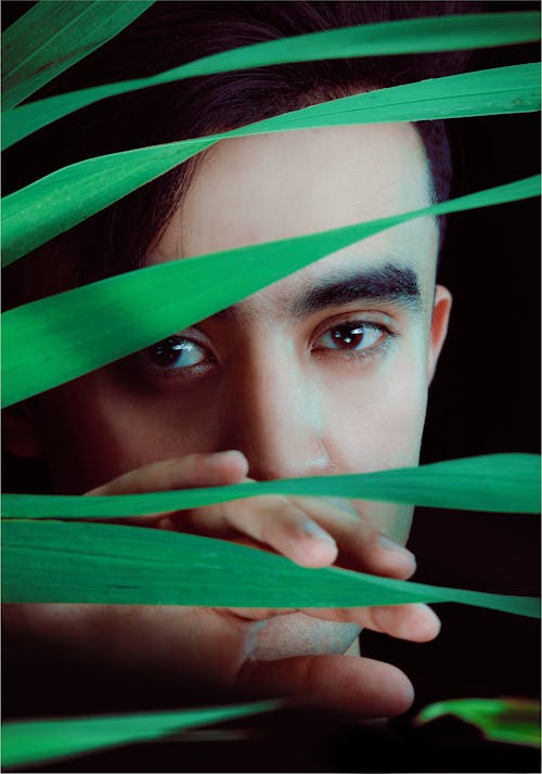 Person Holding Leaves of a Green Plant