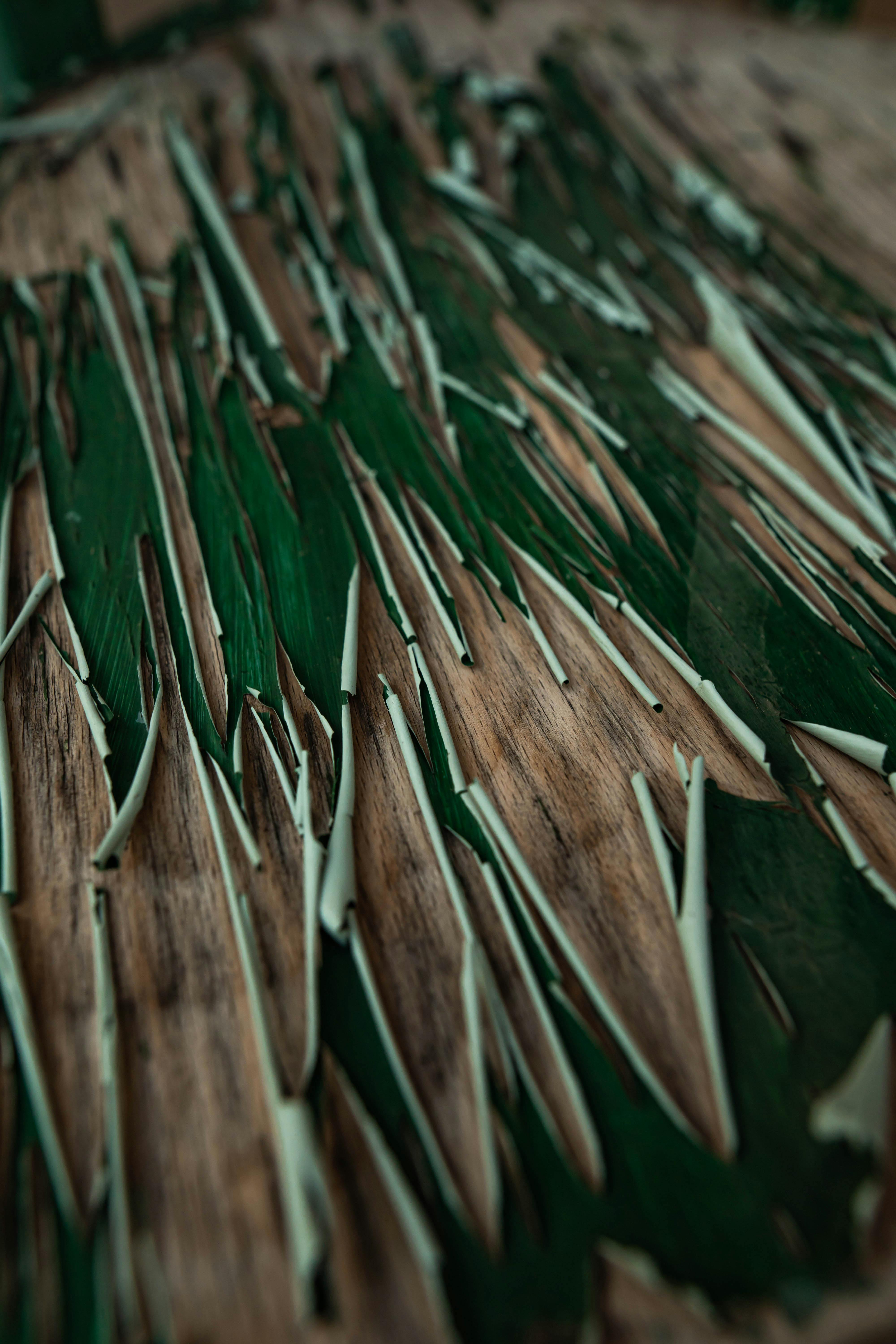 Close Up Of Green Paint Peeling Off The Wooden Surface Free Stock Photo   Pexels Photo 14054410 