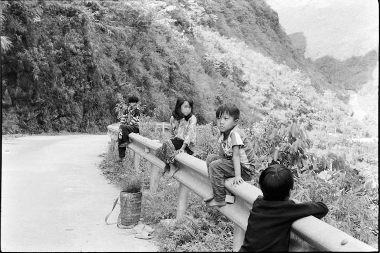 Trees Sitting On Barrier On Road