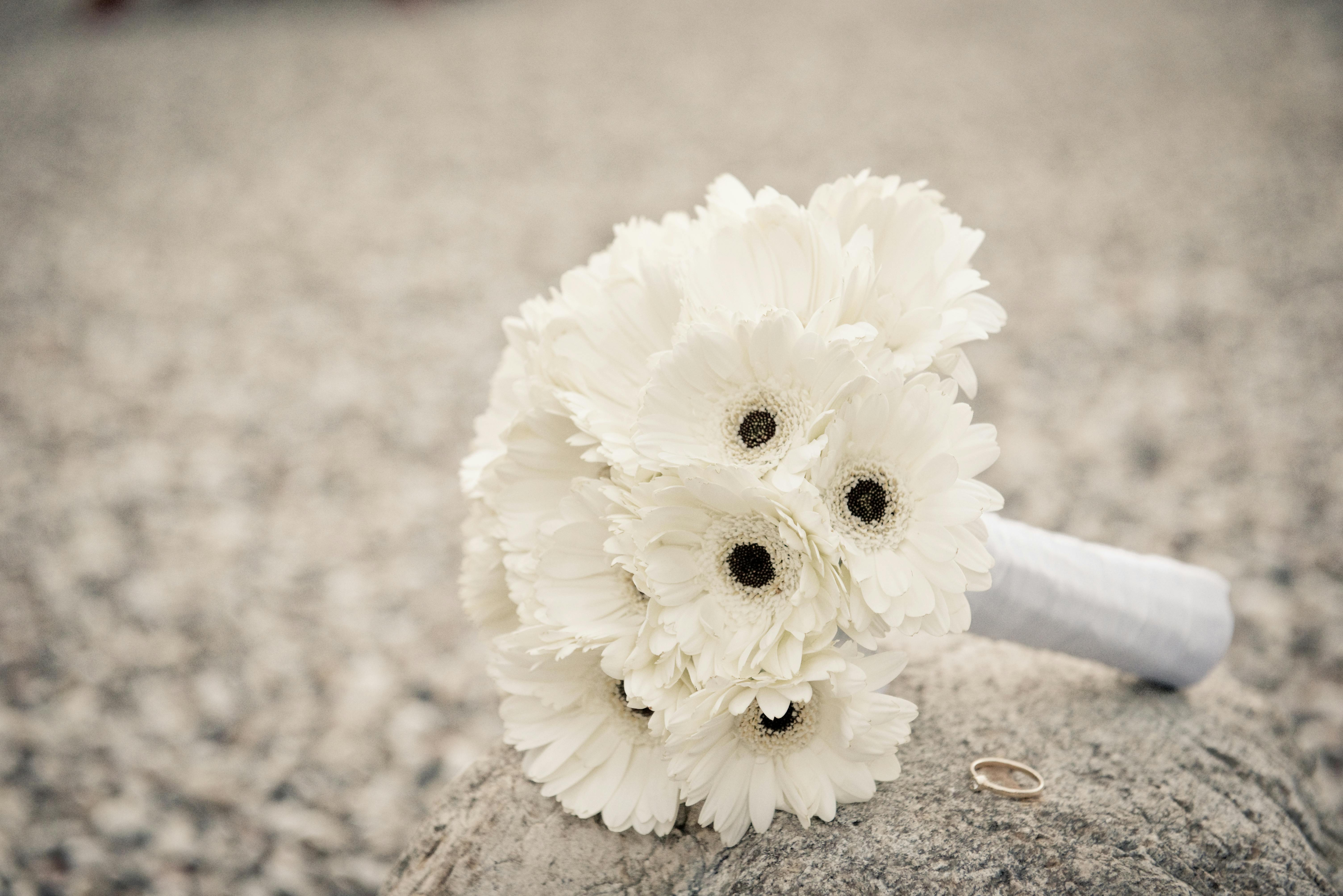 白い花の花束 無料の写真素材 白い花の花束 無料の写真素材