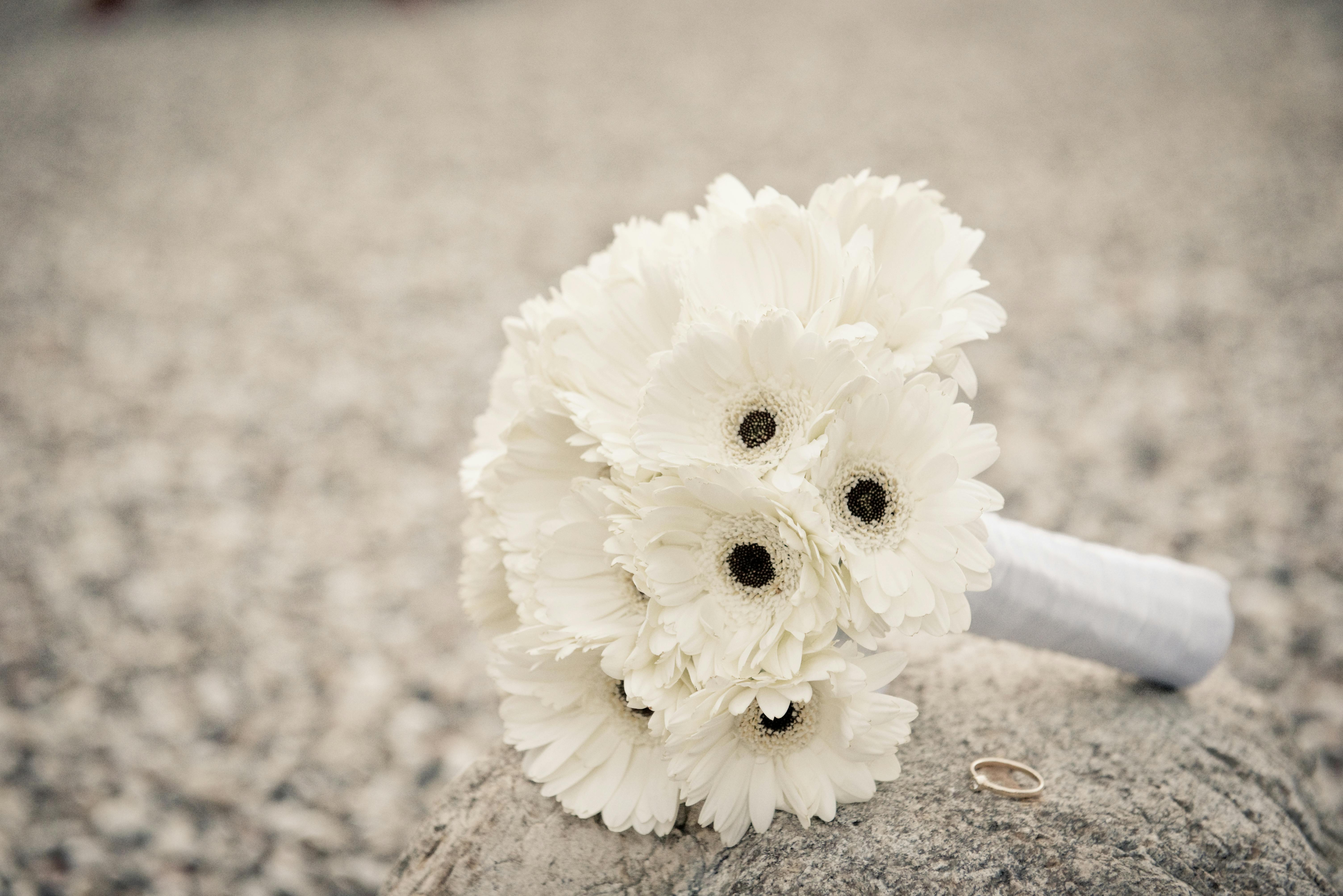 白い花の花束 無料の写真素材