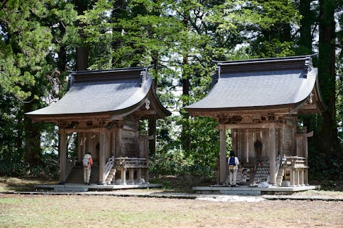 People Praying on Shinto Shrines