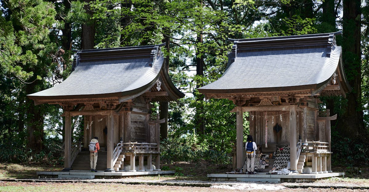 ⚾️ 大谷翔平与同僚的温情时刻!无法错过的“恒例行事”💖 ⚾️ 大谷翔平与同僚的温情时刻!无法错过的“恒例行事”💖