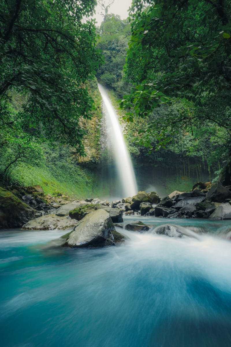 5 Zen Principles For Better Life