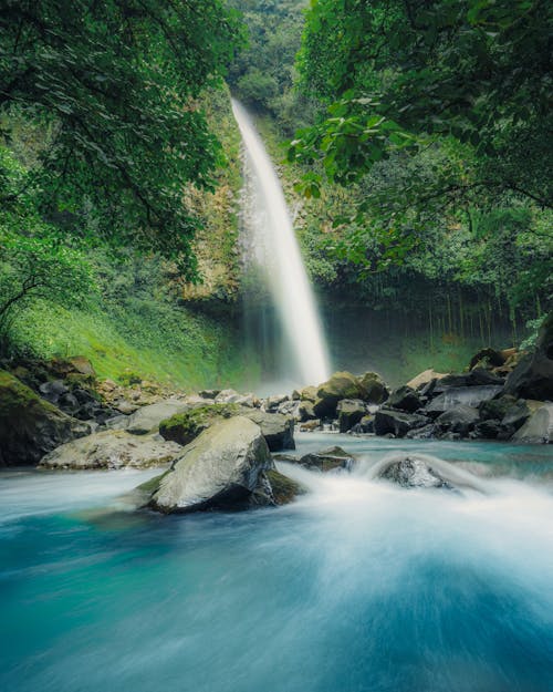 Waterfall in Green Forest