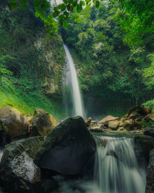 Fotobanka s bezplatnými fotkami na tému dažďový prales, exteriéry, hora