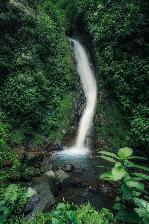 Free Stunning waterfall cascading through lush rainforest foliage, creating a serene and vibrant natural scene. Stock Photo
