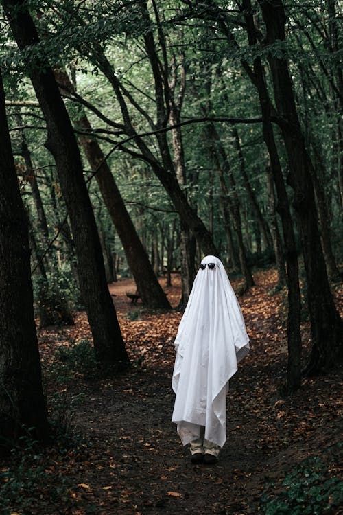 Free Person Dressed as a Ghost in a Forest  Stock Photo