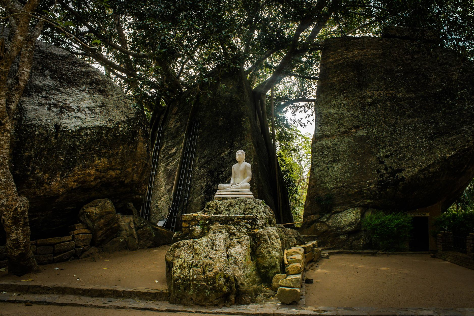 Sigiriya Resort by Thilanka: Location, Amenities & Booking Guide