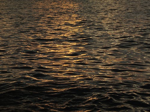 Sunlight Reflecting in Sea