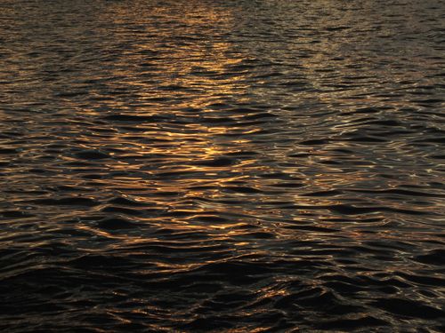 Free Golden sunlight reflecting on rippling sea surface in Rize, Turkey, creating a serene and glistening effect. Stock Photo