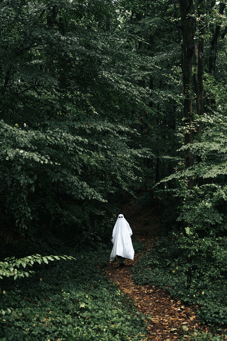 Man Dressed Up As Ghost In The Forest