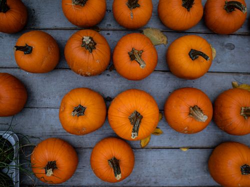 Free Top view of multiple pumpkins arranged on a wooden surface, perfect for autumn or harvest themes. Stock Photo