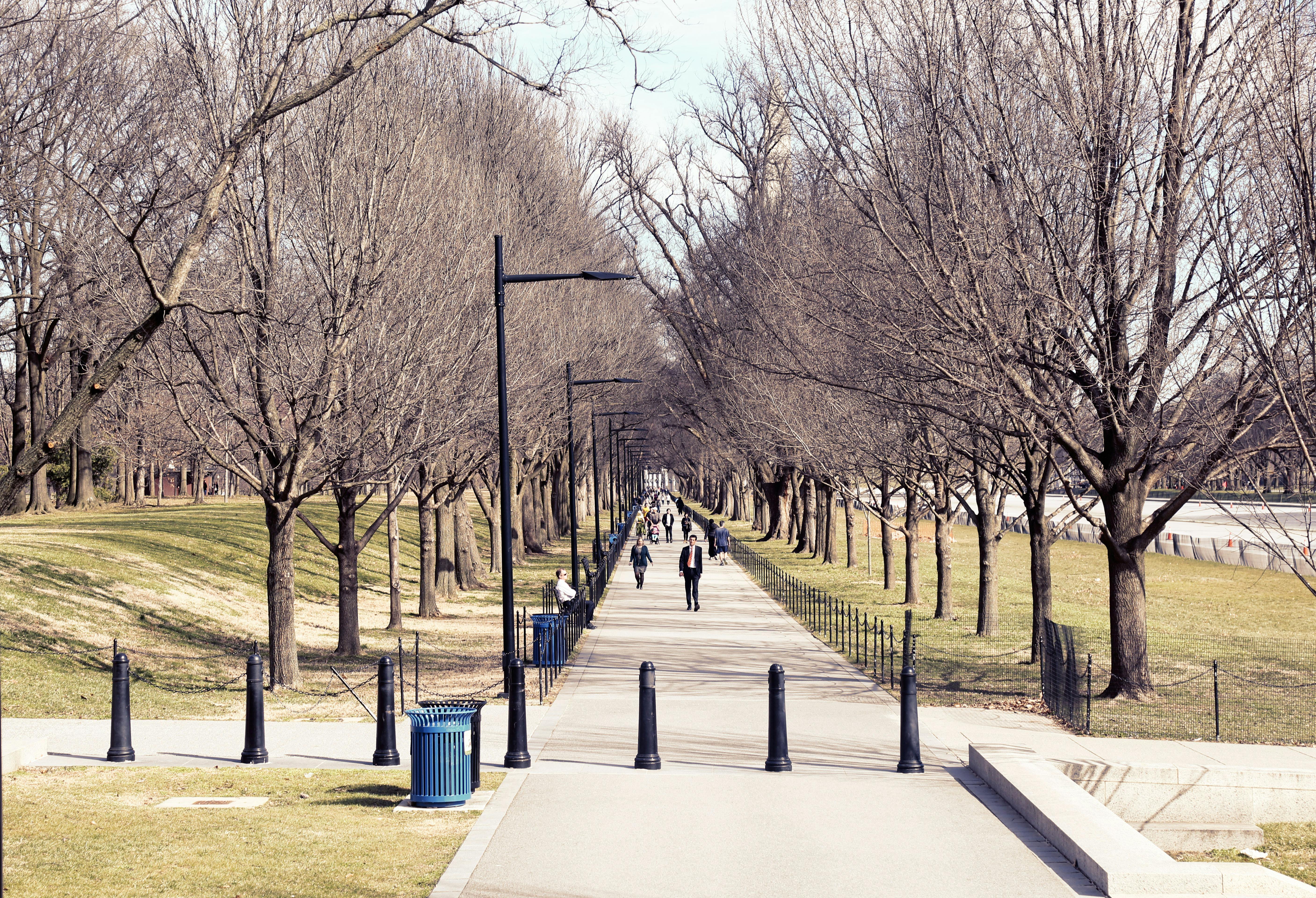 Steadfast becomes member of Washington DC commercial insurance body — Photo by Mourad Ramzy on Pexels