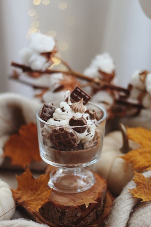 Free Chocolate dessert in glass surrounded by autumn leaves and cozy decor. Stock Photo