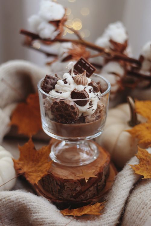 Free A glass full of decadent chocolate and cream dessert surrounded by autumn leaves. Stock Photo