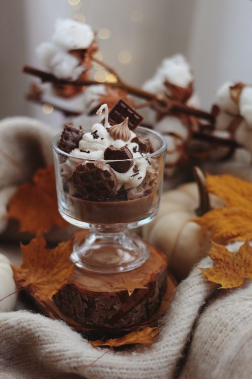 Free Charming autumn dessert with chocolate, whipped cream, and fall leaves. Stock Photo