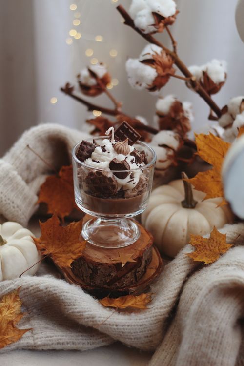Free A cozy autumn dessert setting featuring a chocolate dessert, cotton plants, pumpkins, and leaves. Stock Photo