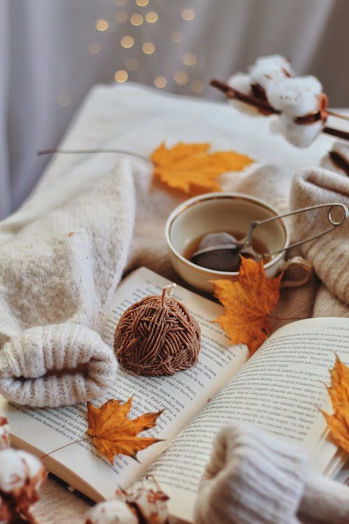 Book and Tea in Fall Decor