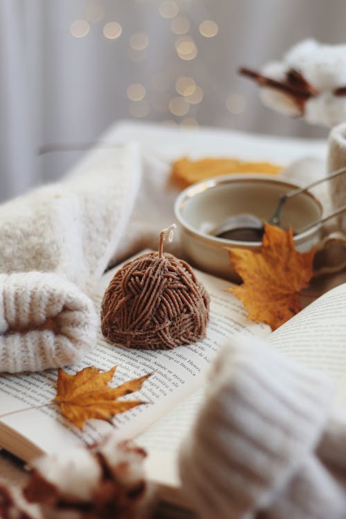 Autumn Still Life with Book