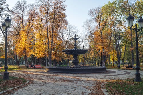 Water Fountain in the Middle of a Park