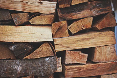 Free Photo of a Pile of Firewood Stock Photo