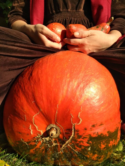 Woman Sitting behind a Large Pumpkin and Holding Small Pumpkins in Hands 