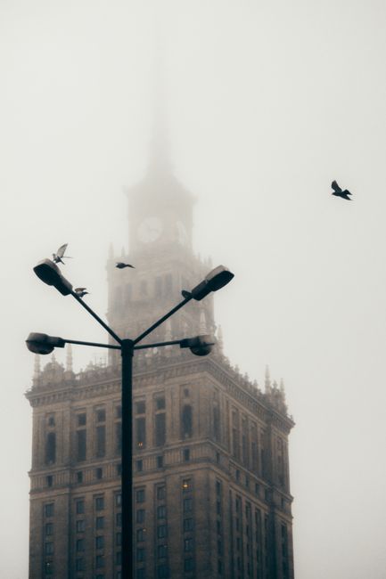 Misty cityscape of Warsaw's iconic building with birds in a winter morning.