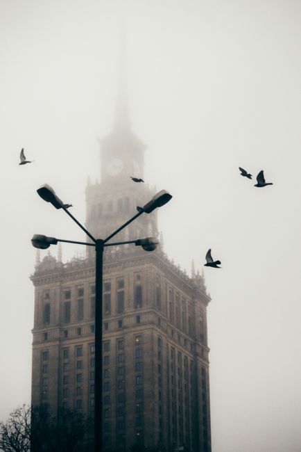Misty morning view of Warsaw's Palace of Culture, birds in flight.