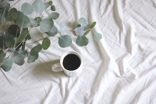 白いシーツのシルバーダラーガムの木の葉の横にコーヒーと白いセラミックマグの写真