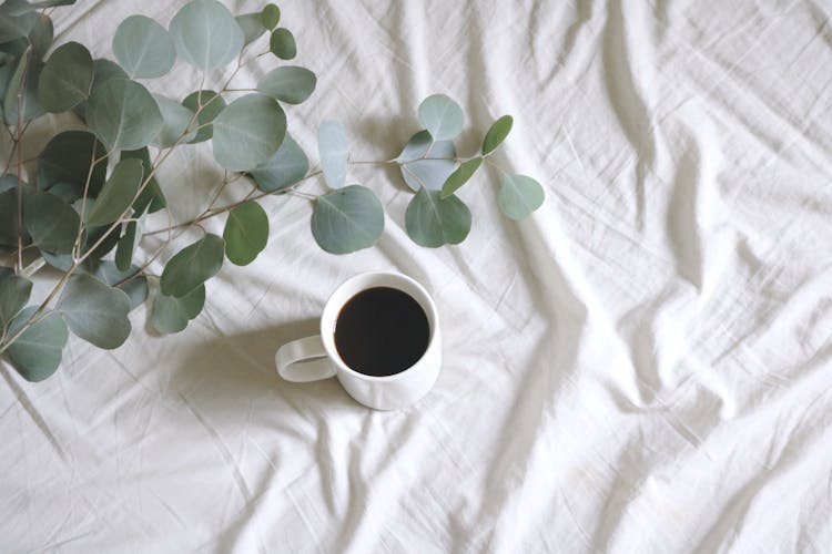 Photo Of White Ceramic Mug With Coffee Next To Silver Dollar Gum Tree Leaves On White Bed-sheet